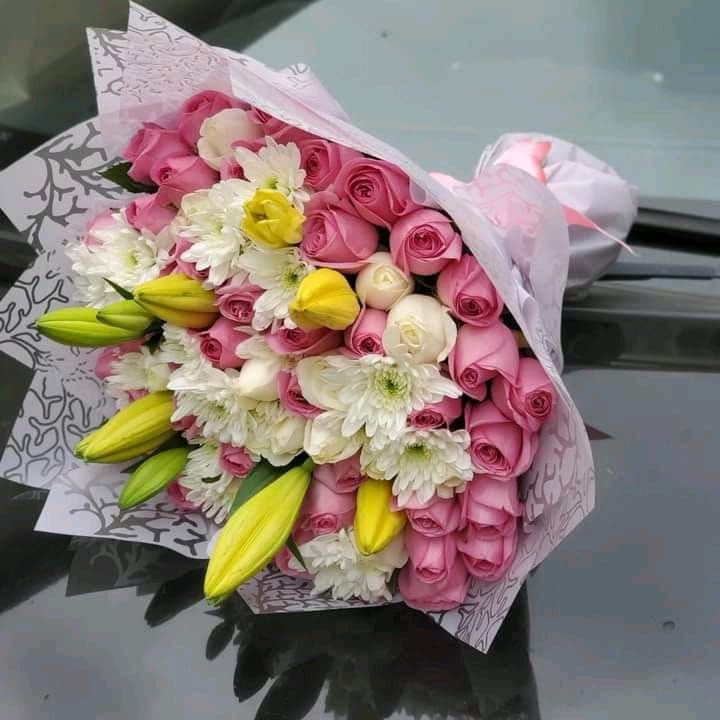 Gifts & Occasions collection image